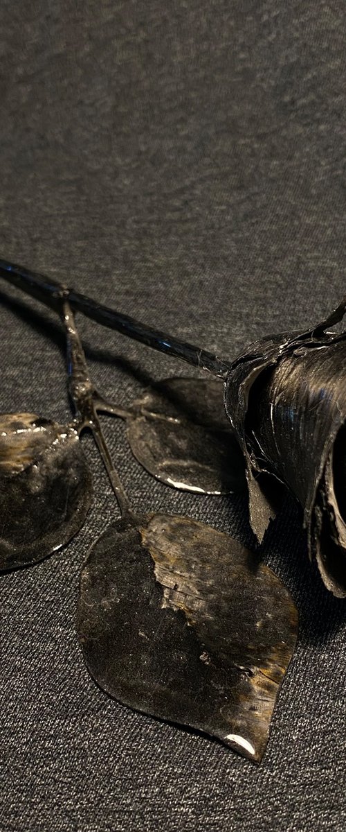 Forever by Akacius Vegh