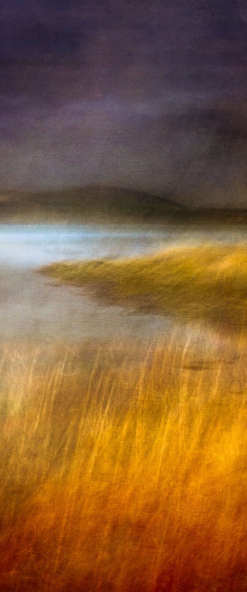 The Fabric of the Land II by Lynne Douglas
