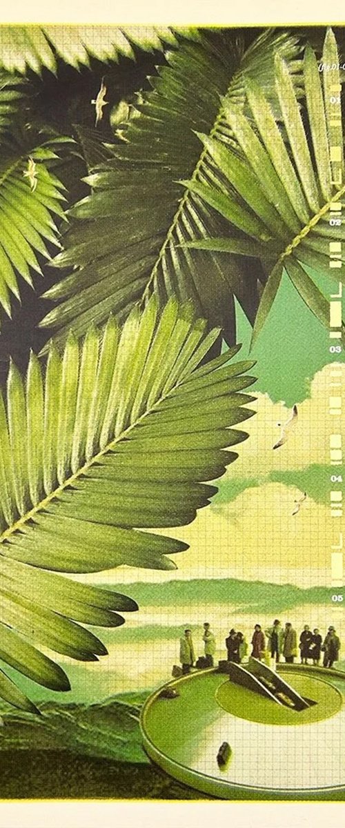 Transcience by Maxine Gregson