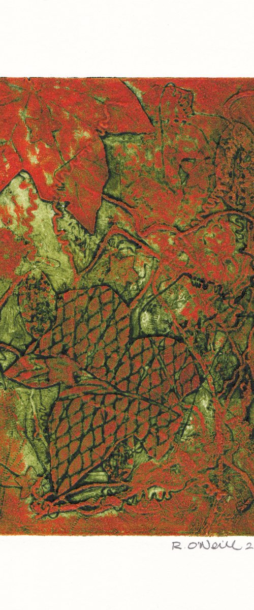 Cucamelon 1 by Rory O’Neill