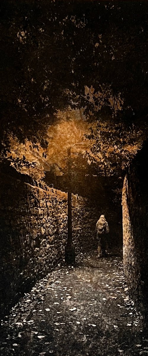 Polygon Lane by Michelle Hinshelwood