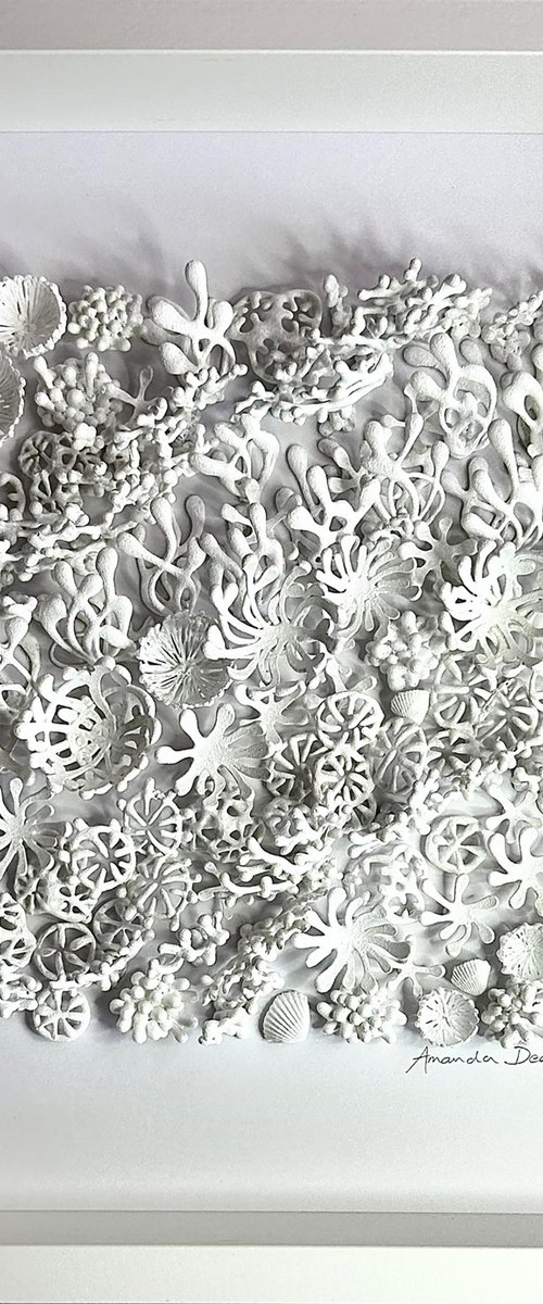 Reef by Amanda Deadman