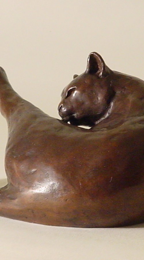 Washing Cat by Holly Bennett