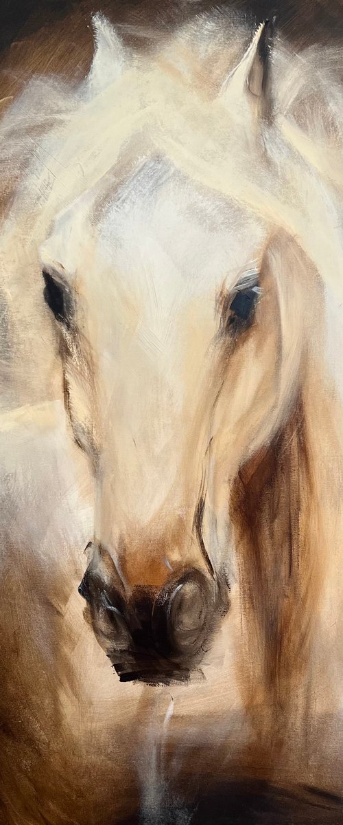 Edgar by Tamara Andjus