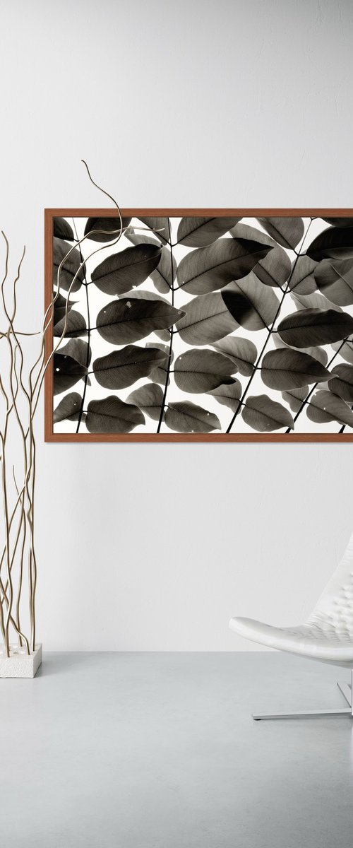 Branches and Leaves I by Tal Paz-Fridman