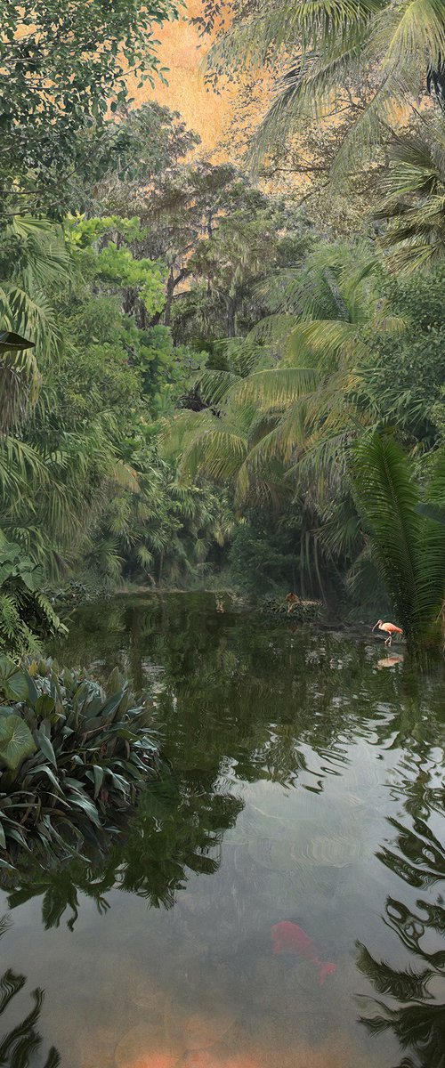 Backwaters Sunset by Nadia Attura