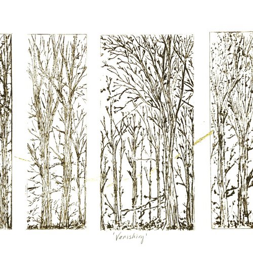 Vanishing by Michelle Hinshelwood