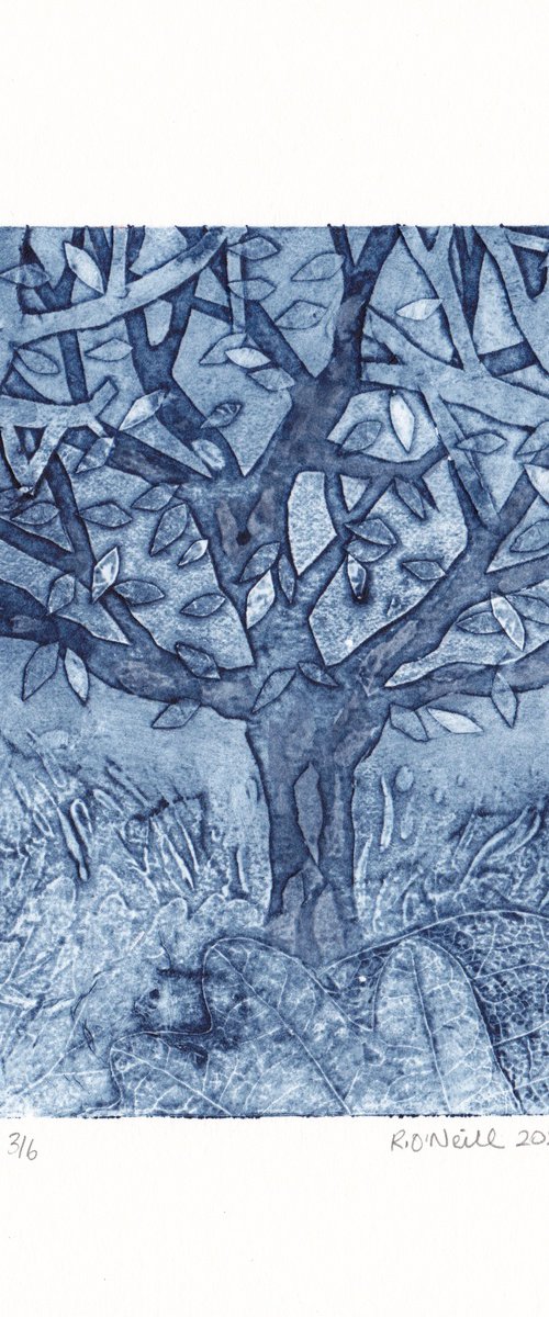 Tree of life by Rory O’Neill