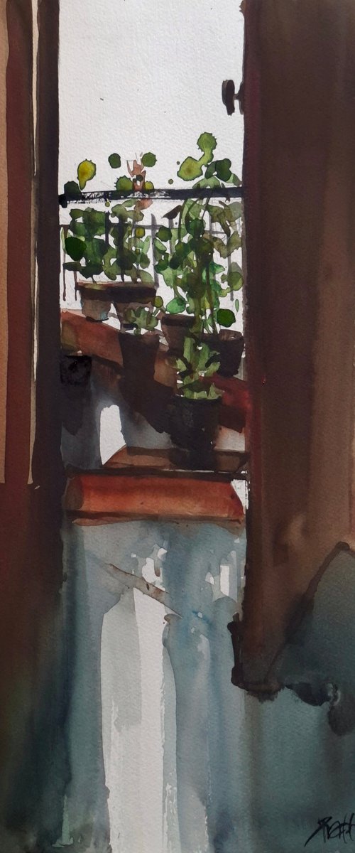 Balcony garden by Prashant Prabhu