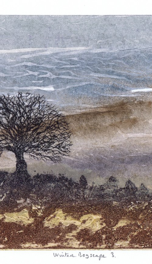 Winter Bogscape 3 - Ireland by Aidan Flanagan Irish Landscapes