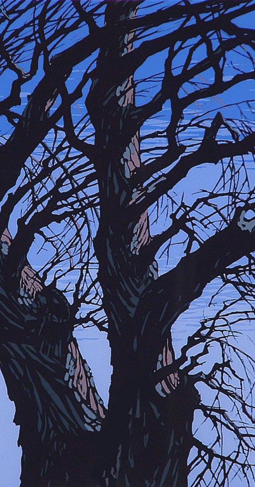 Black Willow by Rick Paller