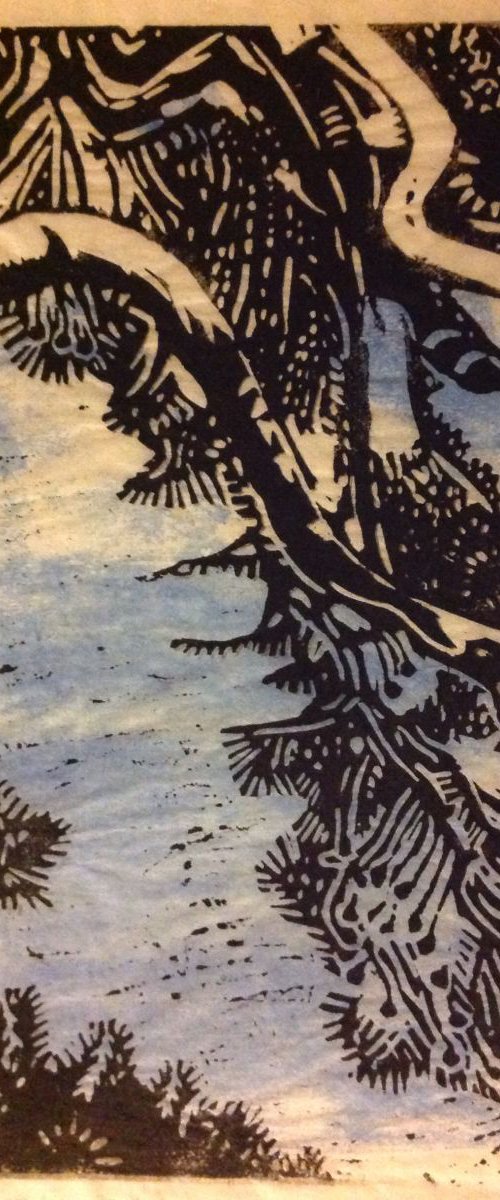 Pine Sky by Sandra Haney