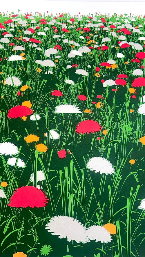 Meadow by Chris Keegan