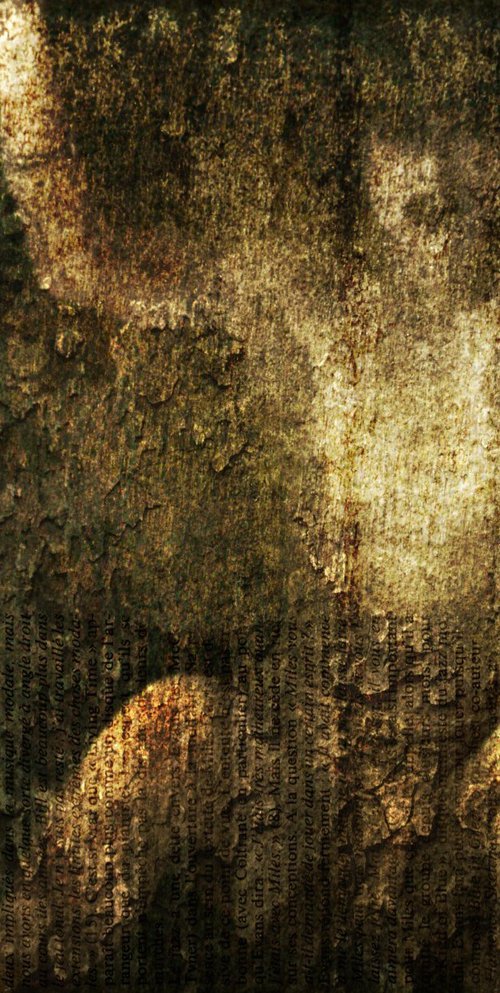 L'enfant sauvage........ by PHILIPPE BERTHIER