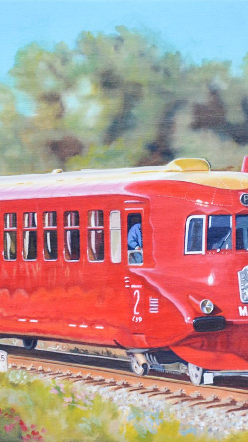 The Slovakian Arrow by Roman Sedlak