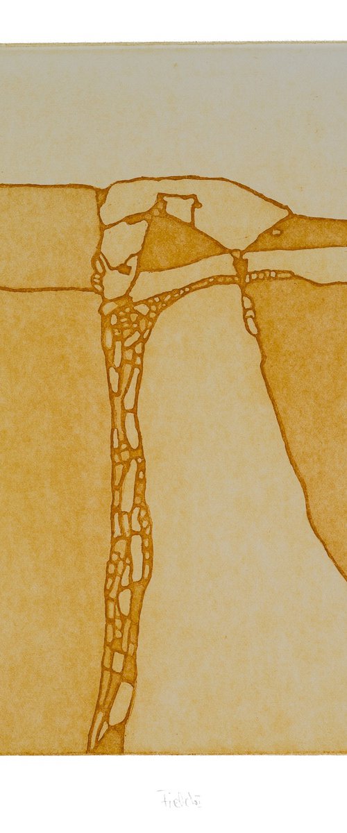 Fields 1 by Heike Roesel