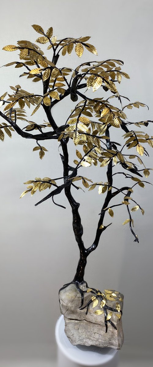 Sky is the limit by Akacius Vegh