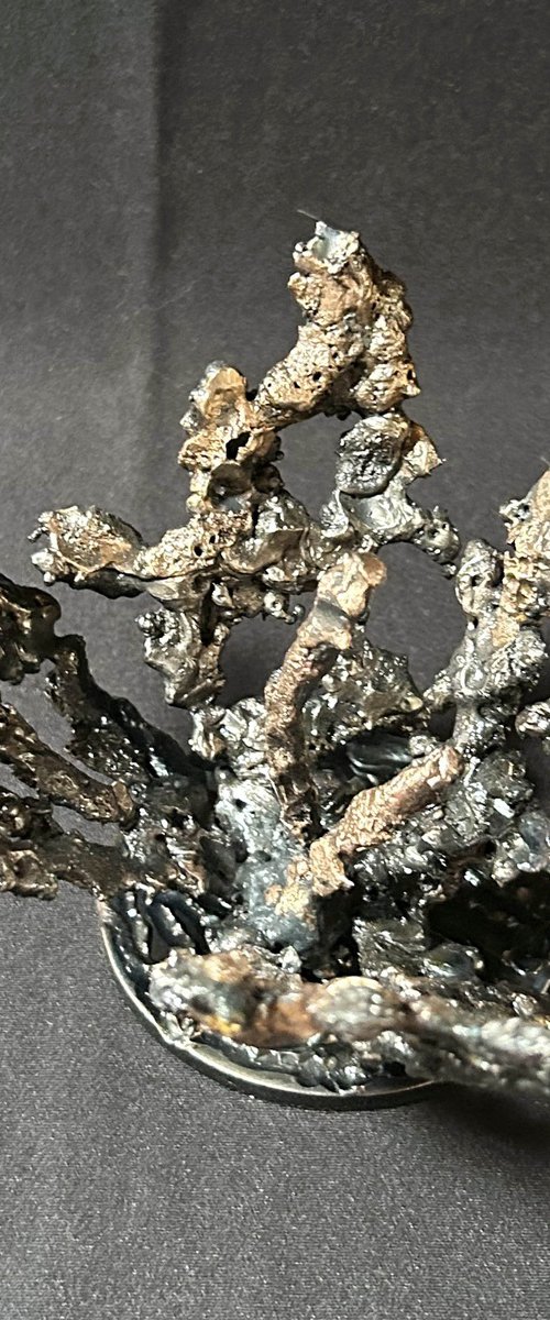 Flower 55-25 by Philippe Buil