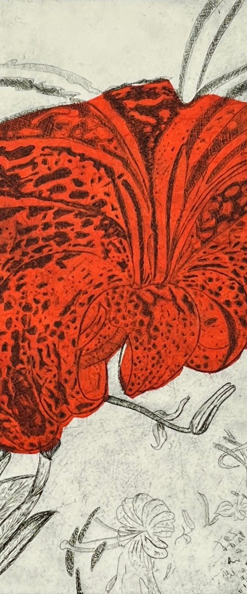 Tiger Lily Twirl by Michelle Hinshelwood