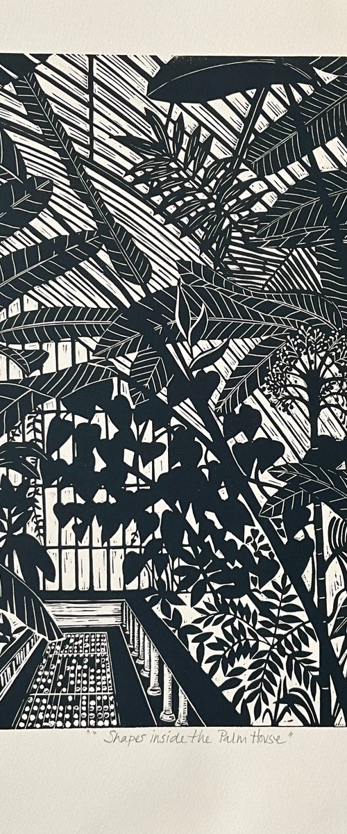Shapes Inside the Palm House by Alison Headley