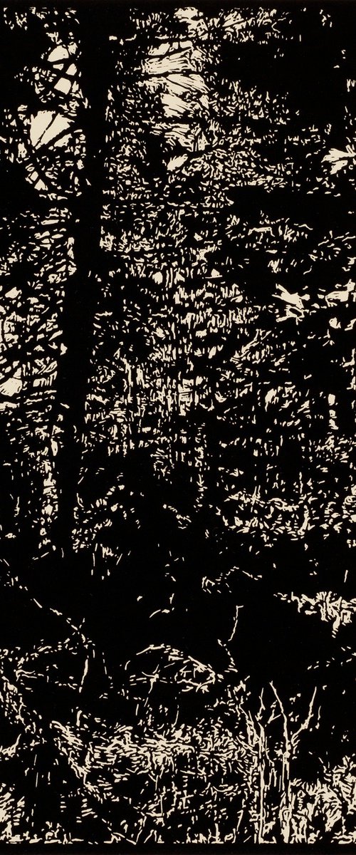 LAST PASSAGE TO DEER ISLAND by David Conn