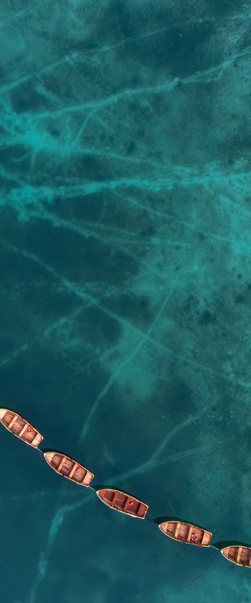 THE BOAT SNAKE by Fabio Accorrà