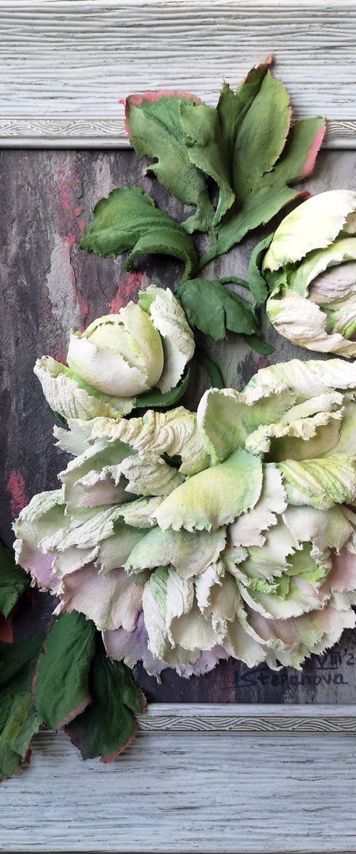 White peonies in a frame by Irina Stepanova