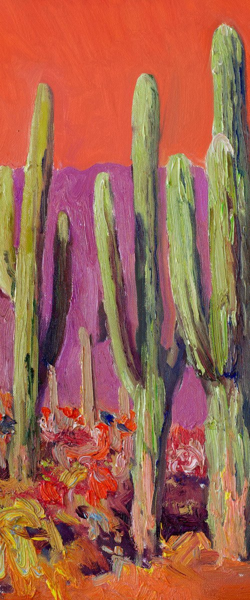 Saguaro Catuses by Suren Nersisyan