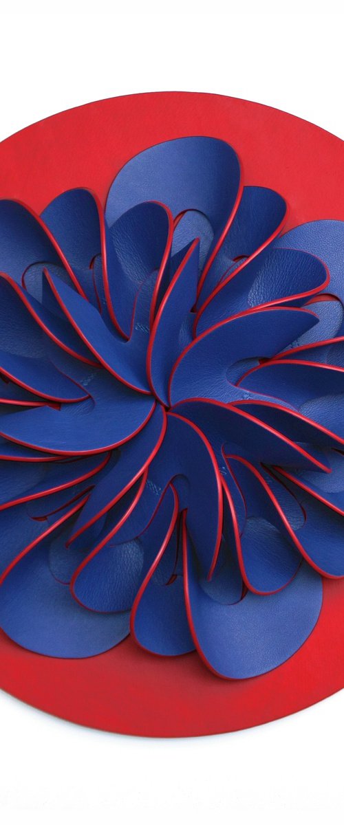 Thrill by Vanda Berecz