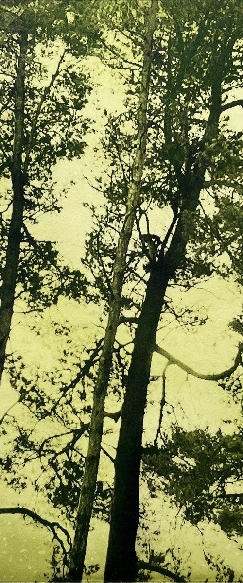 Pause & Breathe by Michelle Hinshelwood