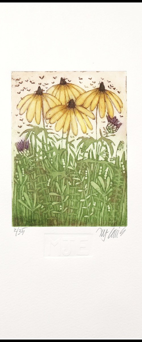 Black eyed Susan by Mariann Johansen-Ellis