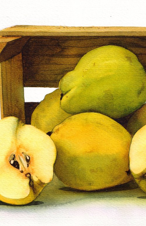 Autumn Quinces by REME Jr.