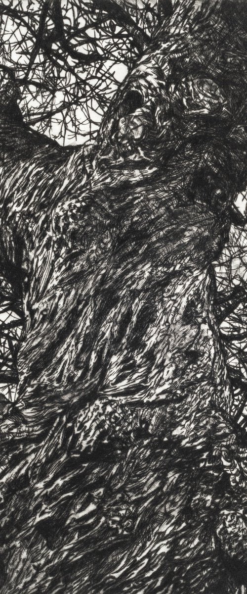 Winter Chestnut by Fiona Hamilton