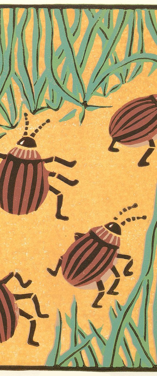 Four Little Beetles by Kate Goetz