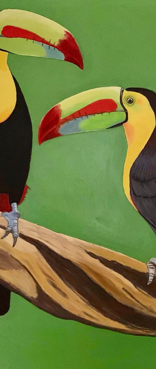 Two Toucans by Caroline Millott