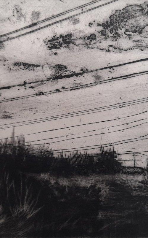 Hinterland by Rosey Prince