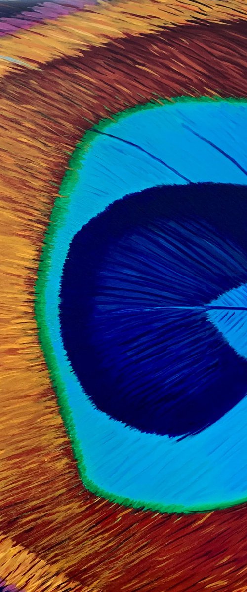 Peacock - Giclee Print by Caroline Millott