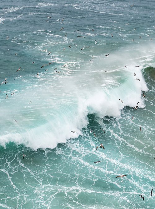 WAVE FLOCK by Andrew Lever