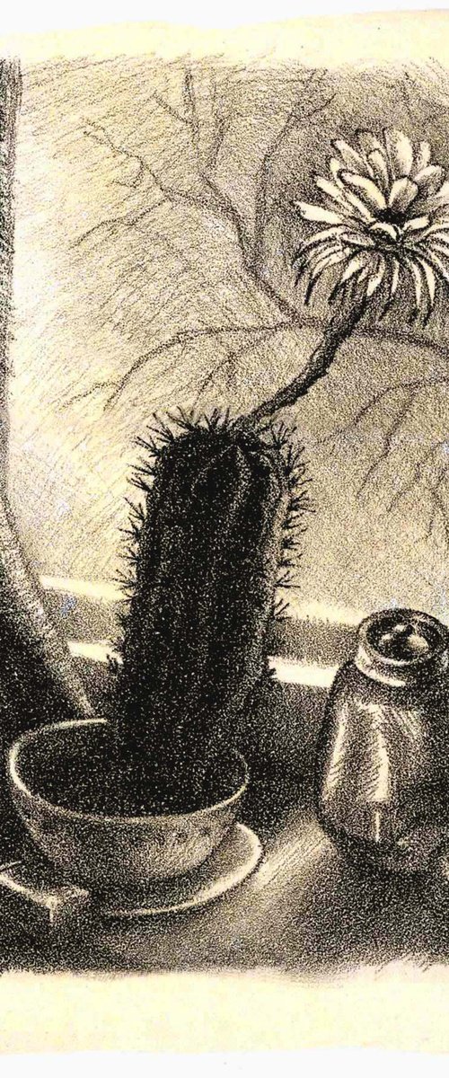 Cactus by Kateryna Bortsova