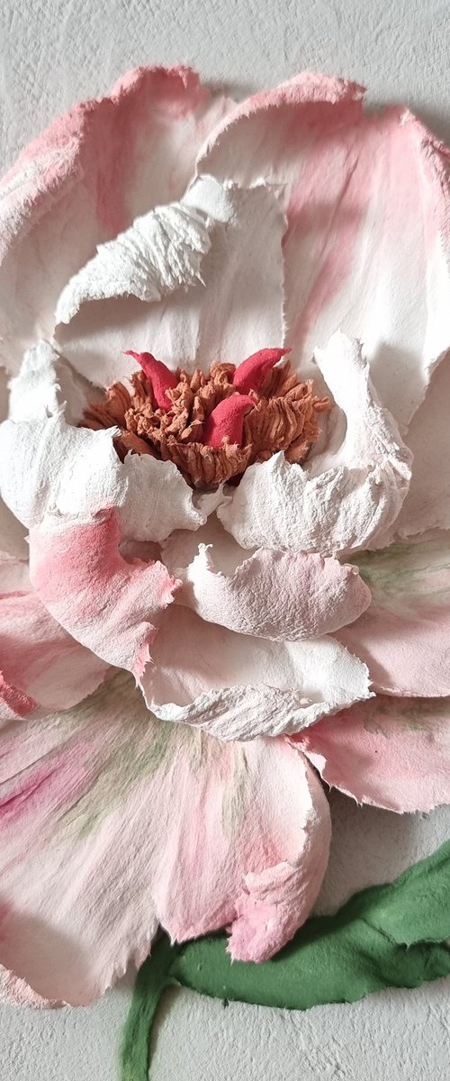 Sweet Peony - flower panel by Irina Stepanova