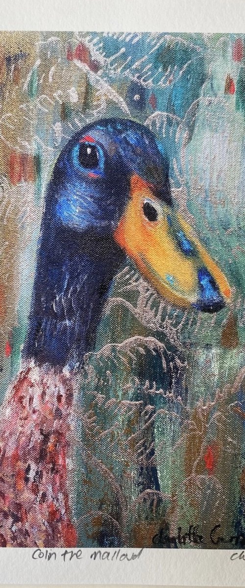 Colin the Mallard by Charlotte Gerrard