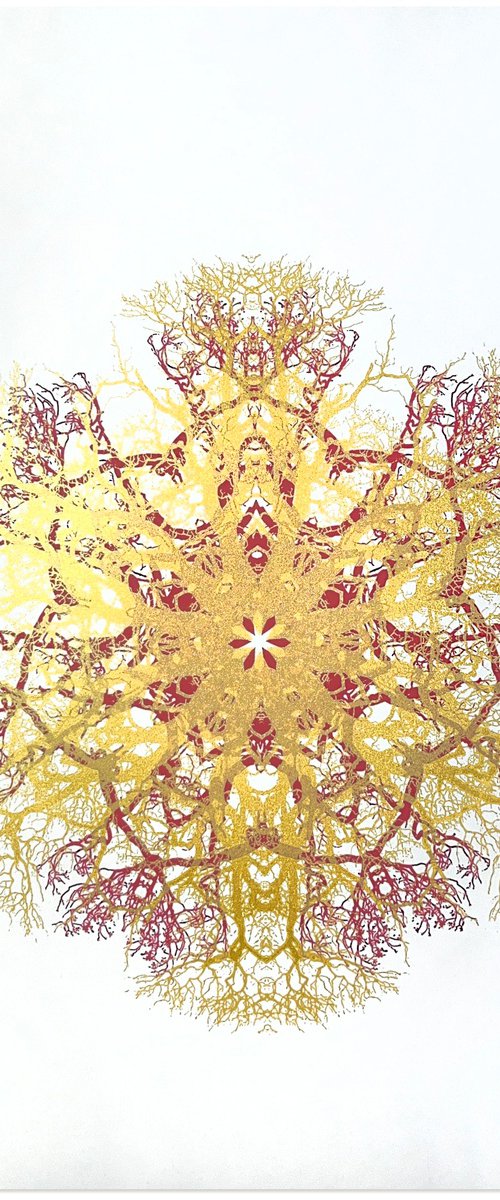 Rhythmic in Red by Chris Keegan